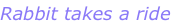 shapeimage_8_link_0